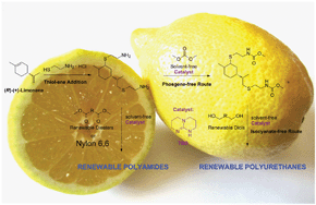 Graphical abstract: Renewable polyamides and polyurethanes derived from limonene
