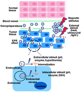 Graphical abstract: Stimulus-responsive nanopreparations for tumor targeting