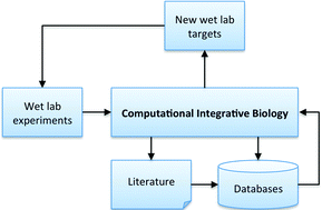 Graphical abstract: Integrative computational biology