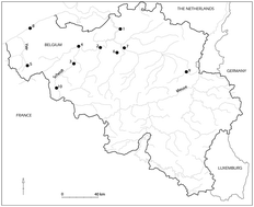 Graphical abstract: Carbon and nitrogen stable isotope ratio analysis of freshwater, brackish and marine fish from Belgian archaeological sites (1st and 2nd millennium AD)