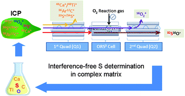 Graphical abstract: Accurate determination of S in organic matrices using isotope dilution ICP-MS/MS