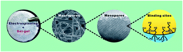 Graphical abstract: Electrospun fibrous mats as a skeleton for fabricating hierarchically structured materials as sorbents for Cu2+