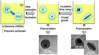 Graphical abstract: Bio-inspired nanoreactor based on a miniemulsion system to create organic–inorganic hybrid nanoparticles and nanofilms