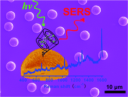 Graphical abstract: Large-scale well-separated Ag nanosheet-assembled micro-hemispheres modified with HS-β-CD as effective SERS substrates for trace detection of PCBs