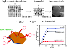 Graphical abstract: External field-assisted solution synthesis and selectively catalytic properties of amorphous iron nanoplatelets