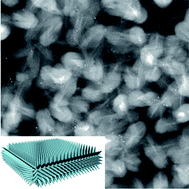 Graphical abstract: Sandwich-like graphene nanocomposites armed with nanoneedles