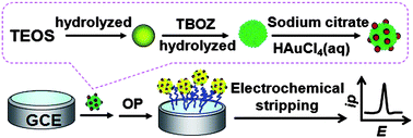 Graphical abstract: Preparation and characterization of Au–ZrO2–SiO2 nanocomposite spheres and their application in enrichment and detection of organophosphorus agents
