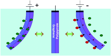 Graphical abstract: A rationally-designed synergetic polypyrrole/graphene bilayer actuator