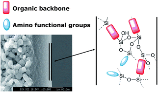Graphical abstract: Amino-functionalized microporous hybrid silica membranes