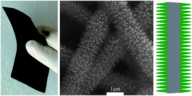 Graphical abstract: Needle-like polyaniline nanowires on graphite nanofibers: hierarchical micro/nano-architecture for high performance supercapacitors