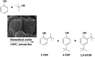 Graphical abstract: Solvent-free liquid phase tert-butylation of phenol over hierarchical ZSM-5 zeolites for the efficient production of 2,4-ditert-butylphenol