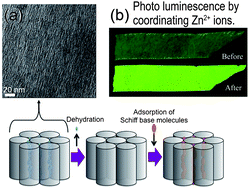 Graphical abstract: Self-standing microporous films of arrayed alumina nano-fibers including Schiff base molecules: effect of the environment around the molecules on their photo-luminescence