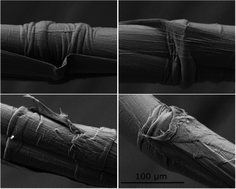 Graphical abstract: Electromechanical response and failure behaviour of aerogel-spun carbon nanotube fibres under tensile loading