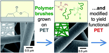 Graphical abstract: Generation of functional PET microfibers through surface-initiated polymerization