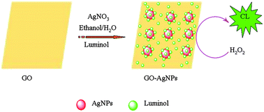 Graphical abstract: Synthesis of highly chemiluminescent graphene oxide/silver nanoparticle nano-composites and their analytical applications
