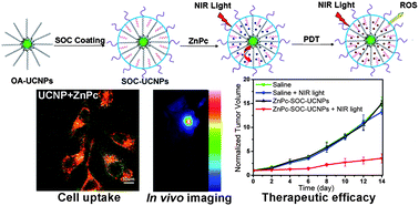 Graphical abstract: Amphiphilic chitosan modified upconversion nanoparticles for in vivo photodynamic therapy induced by near-infrared light