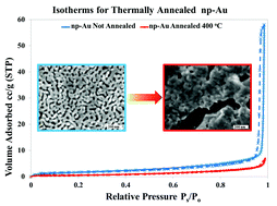 Graphical abstract: Surface area and pore size characteristics of nanoporous gold subjected to thermal, mechanical, or surface modification studied using gas adsorption isotherms, cyclic voltammetry, thermogravimetric analysis, and scanning electron microscopy