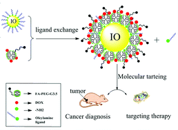 Graphical abstract: Synthesis and characterization of DOX-conjugated dendrimer-modified magnetic iron oxide conjugates for magnetic resonance imaging, targeting, and drug delivery