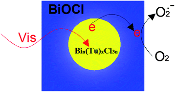 Graphical abstract: Bin(Tu)xCl3n: a novel sensitizer and its enhancement of BiOCl nanosheets’ photocatalytic activity