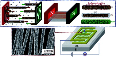 Graphical abstract: Preparation of high aspect ratio nickel oxide nanowires and their gas sensing devices with fast response and high sensitivity