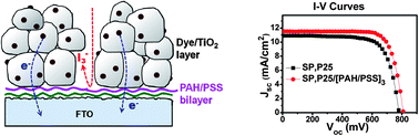 Graphical abstract: Interface control with layer-by-layer assembled ionic polymers for efficient low-temperature dye-sensitized solar cells