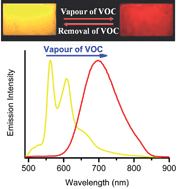 Graphical abstract: Luminescence vapochromism in solid materials based on metal complexes for detection of volatile organic compounds (VOCs)