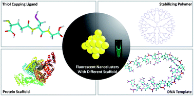 Graphical abstract: Fluorescent gold and silver nanoclusters for the analysis of biopolymers and cell imaging