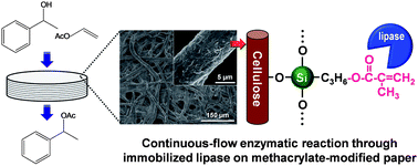 Graphical abstract: Paper-immobilized enzyme as a green microstructured catalyst