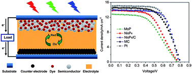 Graphical abstract: High-performance phosphide/carbon counter electrode for both iodide and organic redox couples in dye-sensitized solar cells
