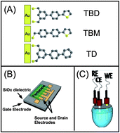 Graphical abstract: Mono/bidentate thiol oligoarylene-based self-assembled monolayers (SAMs) for interface engineering