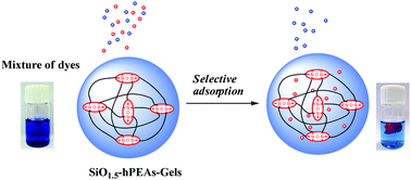 Graphical abstract: Hybrid hydrogels of hyperbranched poly(ether amine)s (hPEAs) for selective adsorption of guest molecules and separation of dyes