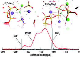 Graphical abstract: The structure of fluoride-containing bioactive glasses: new insights from first-principles calculations and solid state NMR spectroscopy