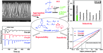 Graphical abstract: High performance aniline vapor detection based on multi-branched fluorescent triphenylamine-benzothiadiazole derivatives: branch effect and aggregation control of the sensing performance