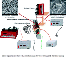 Graphical abstract: Electrospun composite nanofibers and their multifaceted applications