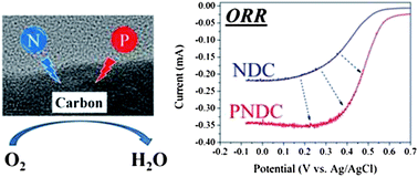 Graphical abstract: Phosphorus–nitrogen dual doped carbon as an effective catalyst for oxygen reduction reaction in acidic media: effects of the amount of P-doping on the physical and electrochemical properties of carbon