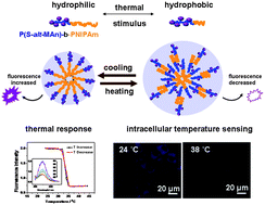 Graphical abstract: Thermal responsive fluorescent block copolymer for intracellular temperature sensing