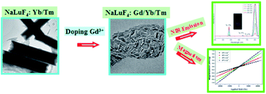 Graphical abstract: Bi-functional NaLuF4:Gd3+/Yb3+/Tm3+ nanocrystals: structure controlled synthesis, near-infrared upconversion emission and tunable magnetic properties