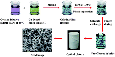 Graphical abstract: Nanofibrous gelatin–silica hybrid scaffolds mimicking the native extracellular matrix (ECM) using thermally induced phase separation