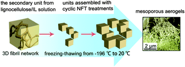 Graphical abstract: Fabrication of mesoporous lignocellulose aerogels from wood via cyclic liquid nitrogen freezing–thawing in ionic liquid solution