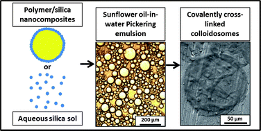 Graphical abstract: Preparation of Pickering emulsions and colloidosomes using either a glycerol-functionalised silica sol or core–shell polymer/silica nanocomposite particles