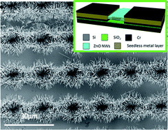 Graphical abstract: Seedless synthesis of patterned ZnO nanowire arrays on metal thin films (Au, Ag, Cu, Sn) and their application for flexible electromechanical sensing