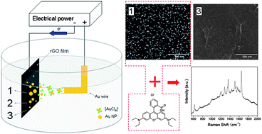 Graphical abstract: Direct growth of size-controlled gold nanoparticles on reduced graphene oxide film from bulk gold by tuning electric field: effective methodology and substrate for surface enhanced Raman scattering study