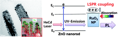 Graphical abstract: Dual optical functionality of local surface plasmon resonance for RuO2 nanoparticle–ZnO nanorod hybrids grown by atomic layer deposition