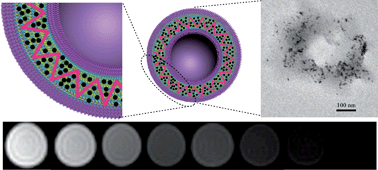 Graphical abstract: Multifunctional polymer vesicles for ultrasensitive magnetic resonance imaging and drug delivery