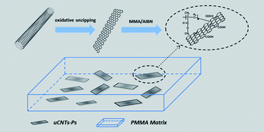 Graphical abstract: Functionalization of unzipped carbon nanotube via in situ polymerization for mechanical reinforcement of polymer