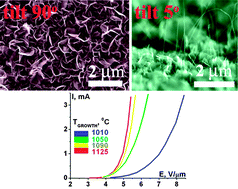 Graphical abstract: Influence of the growth temperature on structural and electron field emission properties of carbon nanowall/nanotube films synthesized by catalyst-free PECVD