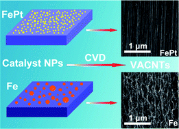 Graphical abstract: Wall-number selective growth of vertically aligned carbon nanotubes from FePt catalysts: a comparative study with Fe catalysts