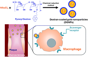 Graphical abstract: Self-fabricated dextran-coated gold nanoparticles using pyrenyl dextran as a reducible stabilizer and their application as CT imaging agents for atherosclerosis