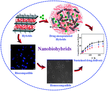 Graphical abstract: Nanostructure controlled anti-cancer drug delivery using poly(ε-caprolactone) based nanohybrids