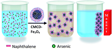 Graphical abstract: Cyclodextrin functionalized magnetic iron oxide nanocrystals: a host-carrier for magnetic separation of non-polar molecules and arsenic from aqueous media